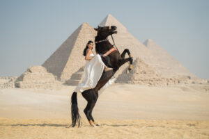 Solo and Friends Pyramids Photoshoot